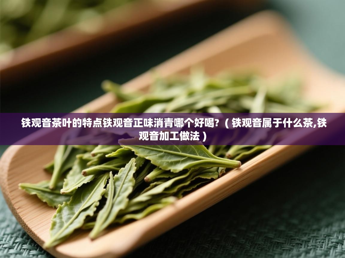 铁观音茶叶的特点铁观音正味消青哪个好喝?  ( 铁观音属于什么茶,铁观音加工做法 )  铁观音茶叶的特点铁观音正味消青哪个好喝?  ( 铁观音属于什么茶,铁观音加工做法 )