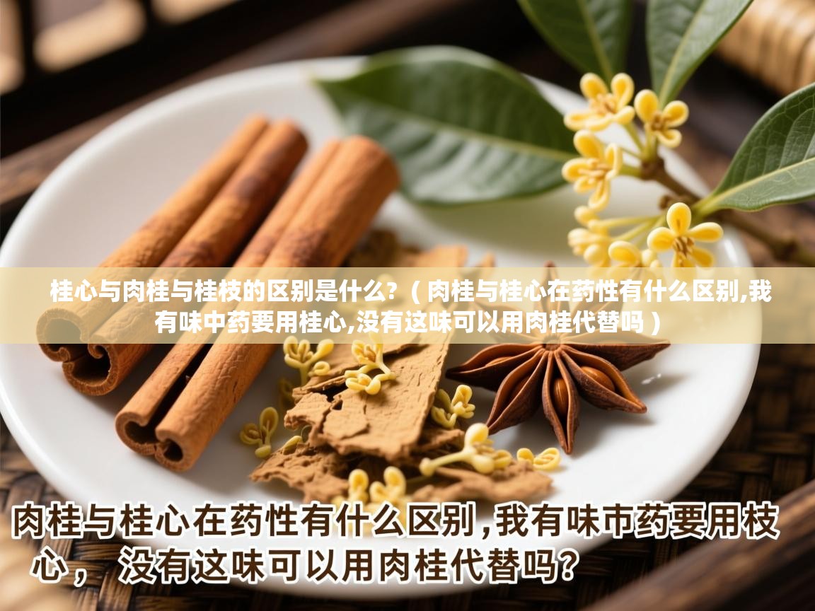 桂心与肉桂与桂枝的区别是什么?  ( 肉桂与桂心在药性有什么区别,我有味中药要用桂心,没有这味可以用肉桂代替吗 )  桂心与肉桂与桂枝的区别是什么?  ( 肉桂与桂心在药性有什么区别,我有味中药要用桂心,没有这味可以用肉桂代替吗 )
