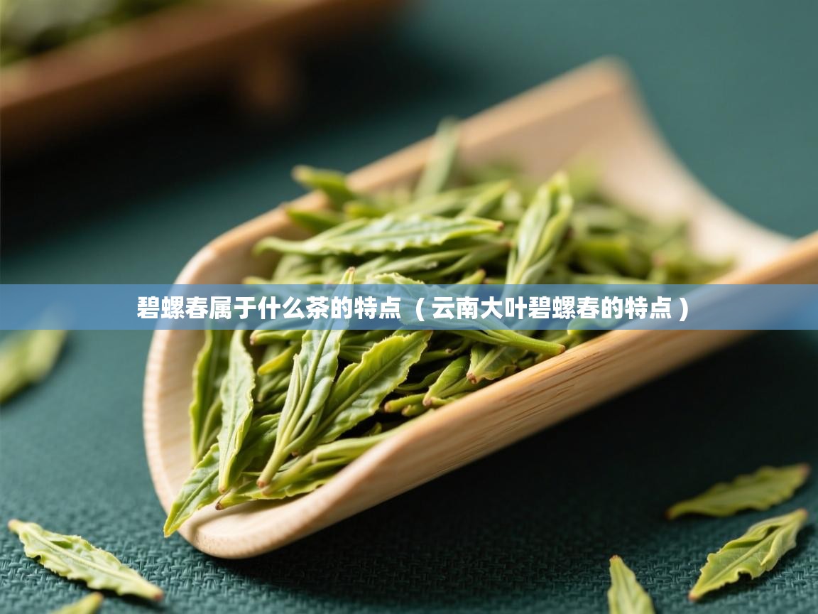 碧螺春属于什么茶的特点  ( 云南大叶碧螺春的特点 )  碧螺春属于什么茶的特点  ( 云南大叶碧螺春的特点 )