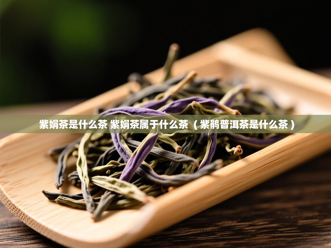 紫娟茶是什么茶 紫娟茶属于什么茶  ( 紫鹃普洱茶是什么茶 )  紫娟茶是什么茶 紫娟茶属于什么茶  ( 紫鹃普洱茶是什么茶 )