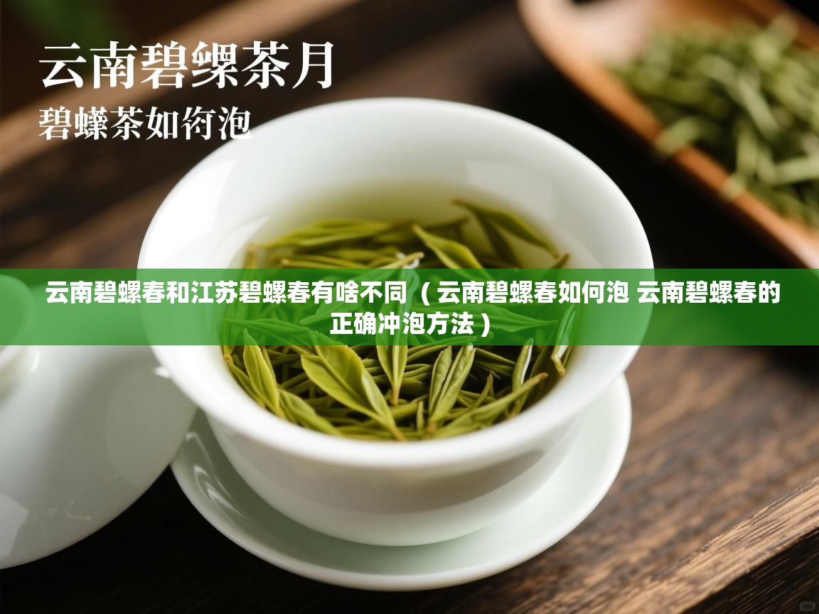  云南碧螺春和江苏碧螺春有啥不同  ( 云南碧螺春如何泡 云南碧螺春的正确冲泡方法 )