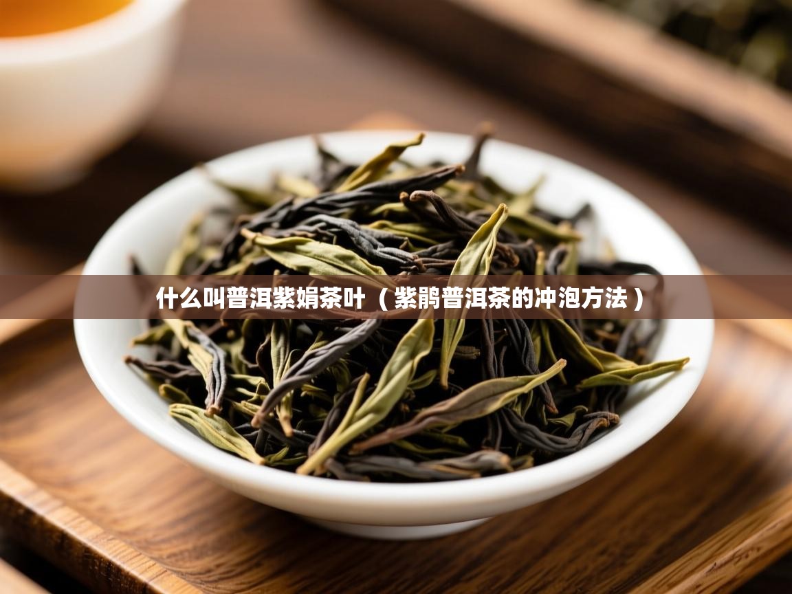 什么叫普洱紫娟茶叶  ( 紫鹃普洱茶的冲泡方法 )  什么叫普洱紫娟茶叶  ( 紫鹃普洱茶的冲泡方法 )