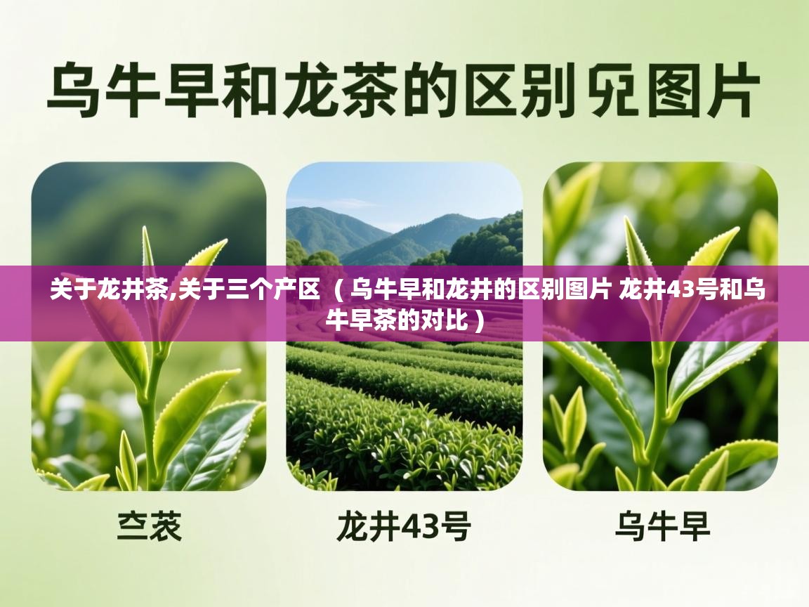 关于龙井茶,关于三个产区  ( 乌牛早和龙井的区别图片 龙井43号和乌牛早茶的对比 )  关于龙井茶,关于三个产区  ( 乌牛早和龙井的区别图片 龙井43号和乌牛早茶的对比 )