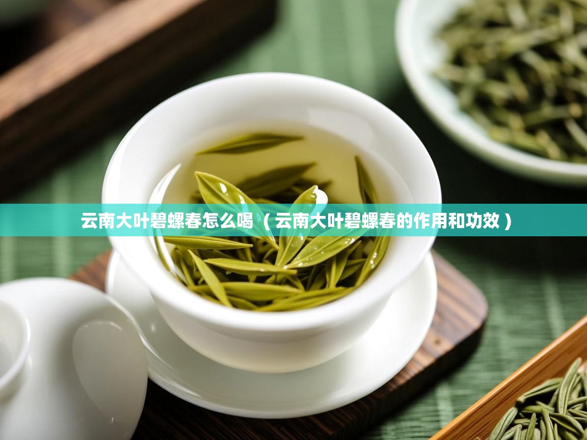 云南大叶碧螺春怎么喝  ( 云南大叶碧螺春的作用和功效 )  云南大叶碧螺春怎么喝  ( 云南大叶碧螺春的作用和功效 )