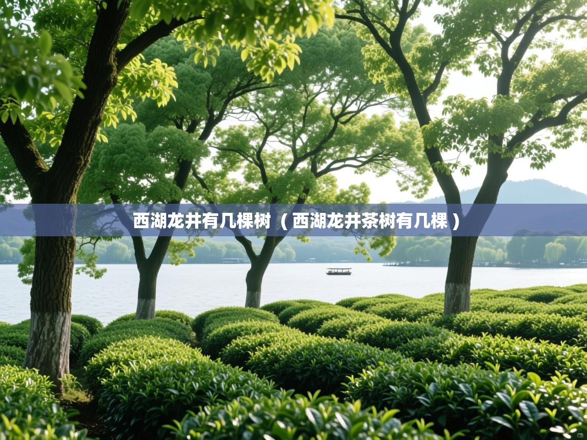 西湖龙井有几棵树  ( 西湖龙井茶树有几棵 )  西湖龙井有几棵树  ( 西湖龙井茶树有几棵 )