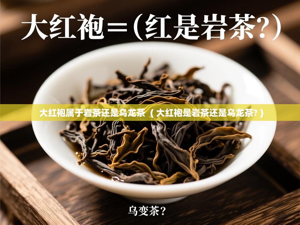 大红袍属于岩茶还是乌龙茶  ( 大红袍是岩茶还是乌龙茶? )  大红袍属于岩茶还是乌龙茶  ( 大红袍是岩茶还是乌龙茶? )