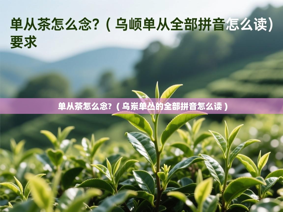 单从茶怎么念?  ( 乌岽单丛的全部拼音怎么读 )  单从茶怎么念?  ( 乌岽单丛的全部拼音怎么读 )