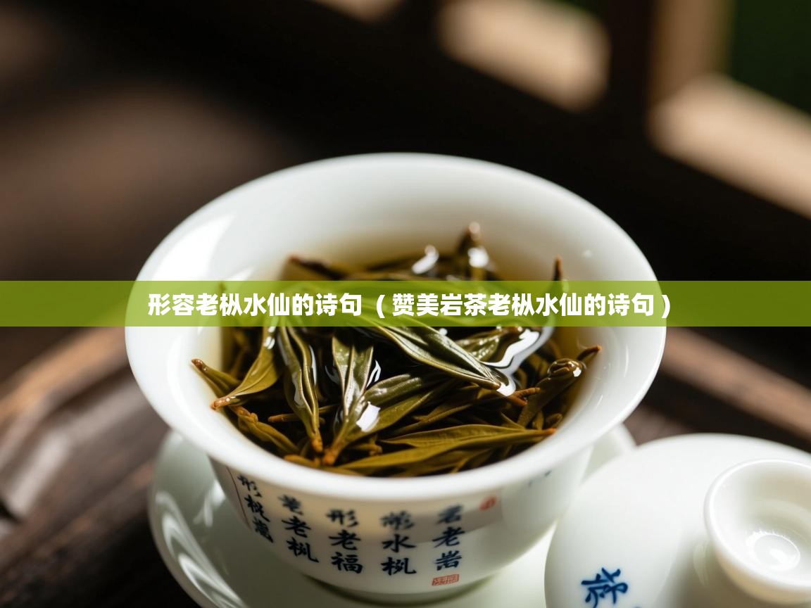 形容老枞水仙的诗句  ( 赞美岩茶老枞水仙的诗句 )  形容老枞水仙的诗句  ( 赞美岩茶老枞水仙的诗句 )