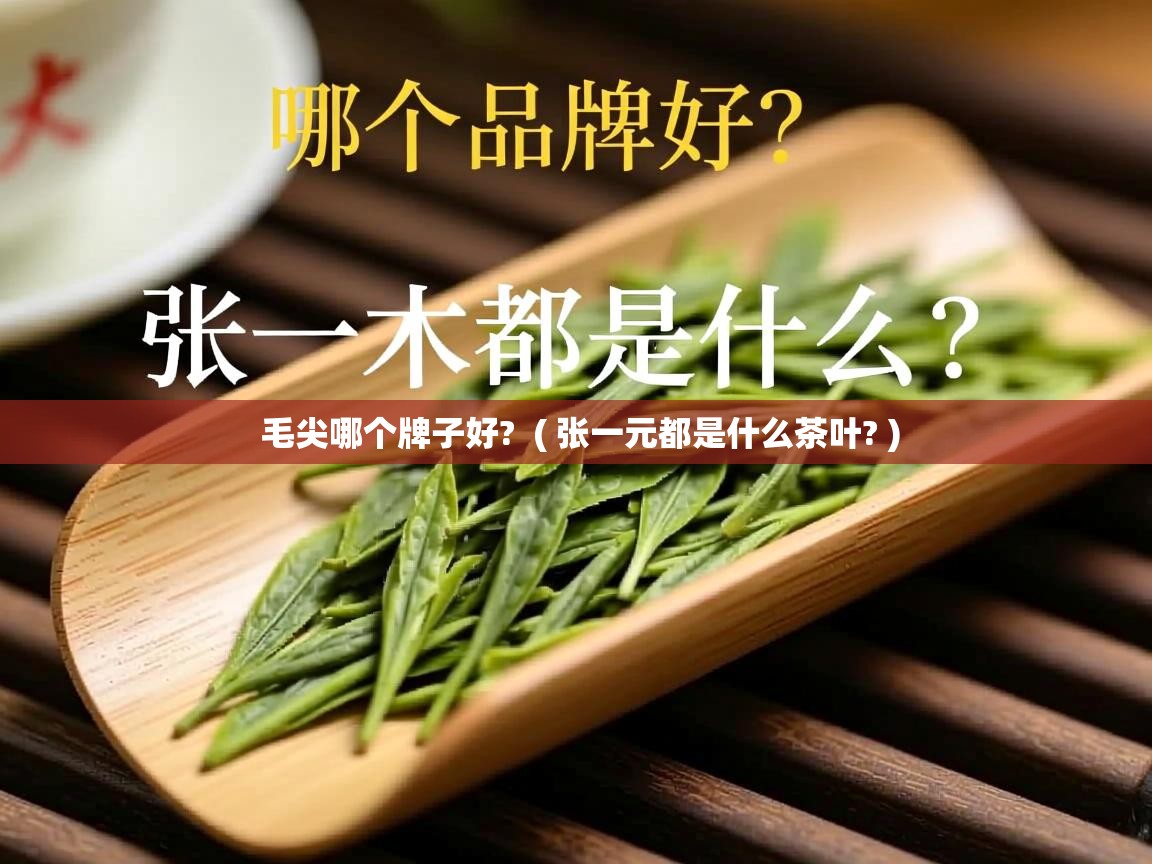 毛尖哪个牌子好?  ( 张一元都是什么茶叶? )  毛尖哪个牌子好?  ( 张一元都是什么茶叶? )