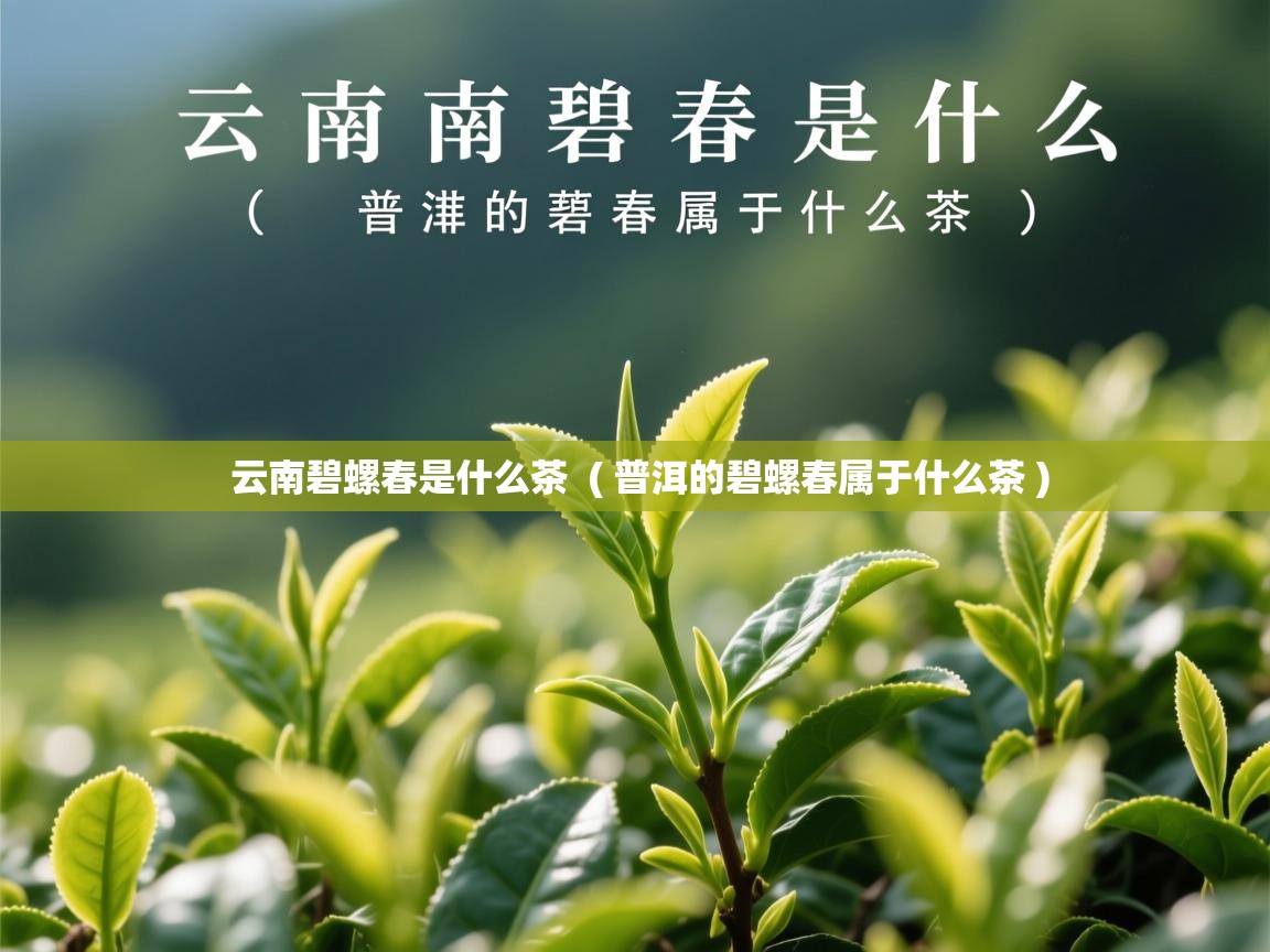 详细阅读: 云南碧螺春是什么茶  ( 普洱的碧螺春属于什么茶 )  云南碧螺春是什么茶  ( 普洱的碧螺春属于什么茶 )