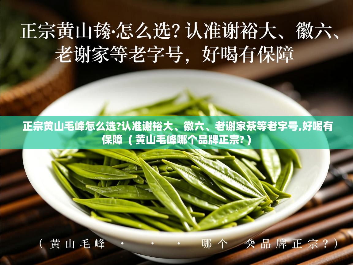  正宗黄山毛峰怎么选?认准谢裕大、徽六、老谢家茶等老字号,好喝有保障  ( 黄山毛峰哪个品牌正宗? )