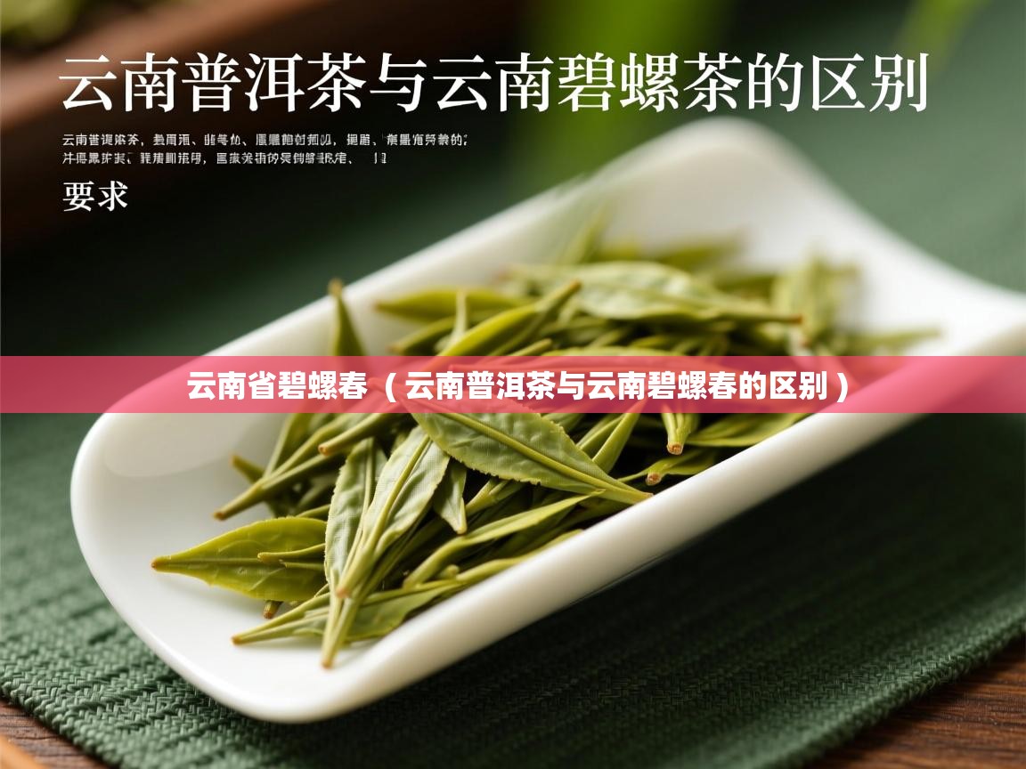 详细阅读: 云南省碧螺春  ( 云南普洱茶与云南碧螺春的区别 )  云南省碧螺春  ( 云南普洱茶与云南碧螺春的区别 )