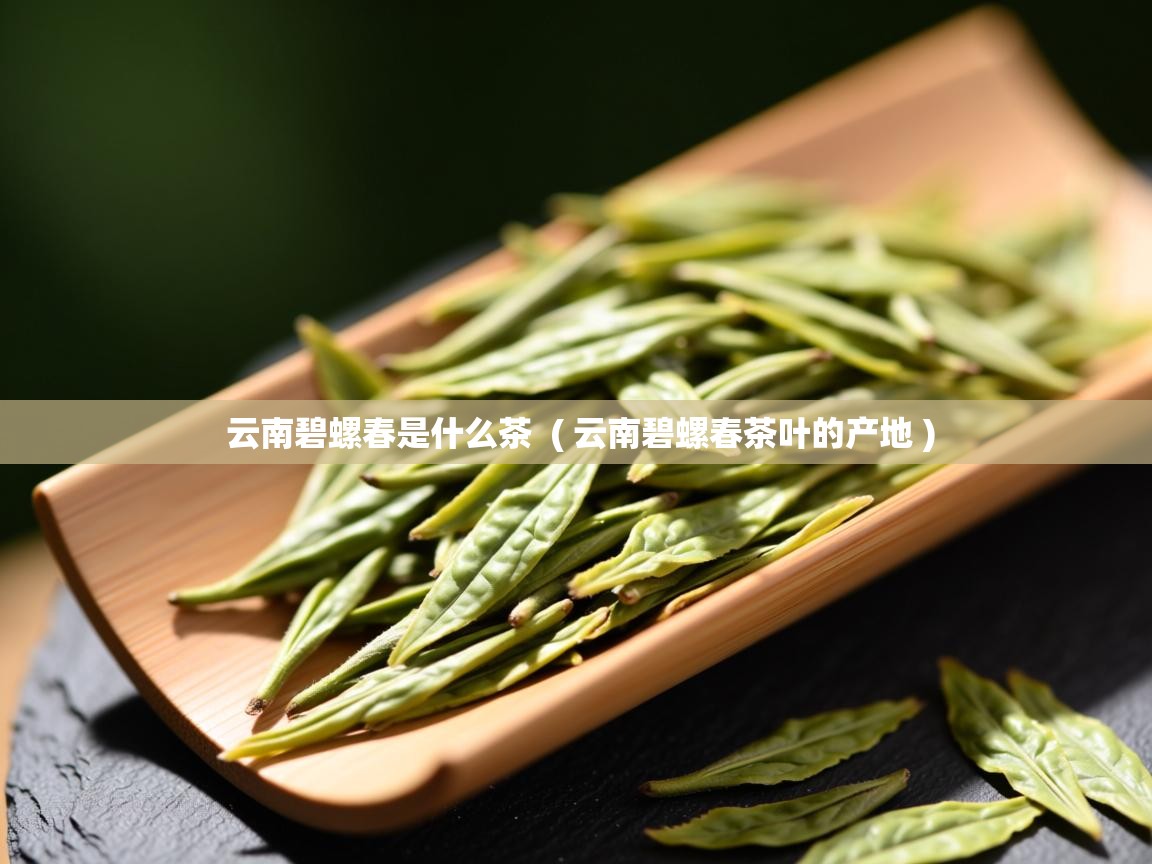 云南碧螺春是什么茶  ( 云南碧螺春茶叶的产地 )  云南碧螺春是什么茶  ( 云南碧螺春茶叶的产地 )