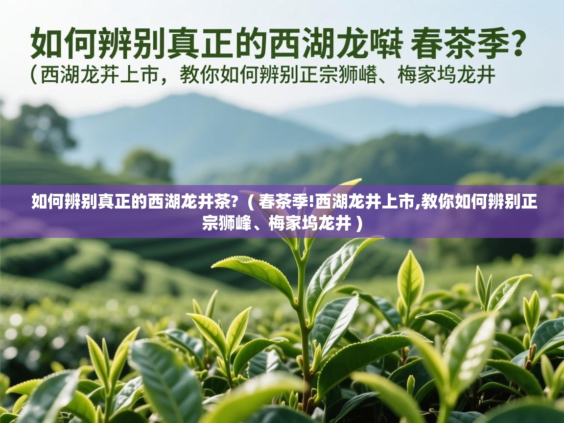  如何辨别真正的西湖龙井茶?  ( 春茶季!西湖龙井上市,教你如何辨别正宗狮峰、梅家坞龙井 )
