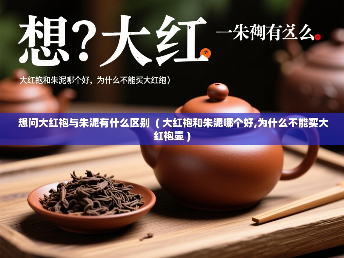 想问大红袍与朱泥有什么区别  ( 大红袍和朱泥哪个好,为什么不能买大红袍壶 )  想问大红袍与朱泥有什么区别  ( 大红袍和朱泥哪个好,为什么不能买大红袍壶 )