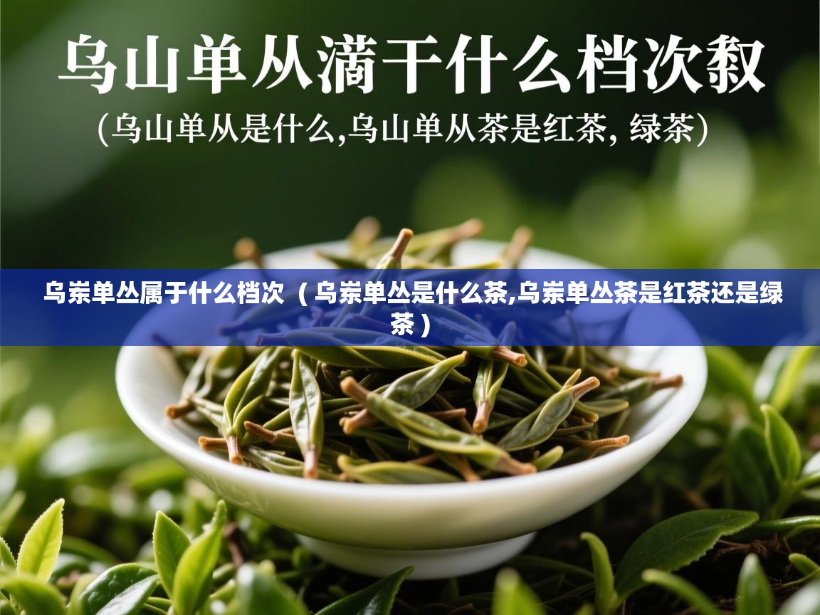 乌岽单丛属于什么档次  ( 乌岽单丛是什么茶,乌岽单丛茶是红茶还是绿茶 )  乌岽单丛属于什么档次  ( 乌岽单丛是什么茶,乌岽单丛茶是红茶还是绿茶 )