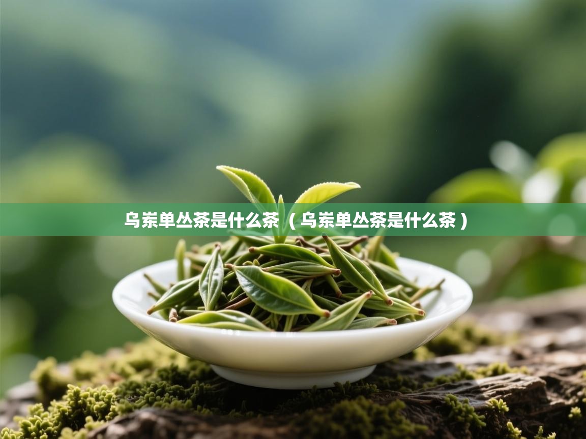 乌岽单丛茶是什么茶  ( 乌岽单丛茶是什么茶 )  乌岽单丛茶是什么茶  ( 乌岽单丛茶是什么茶 )