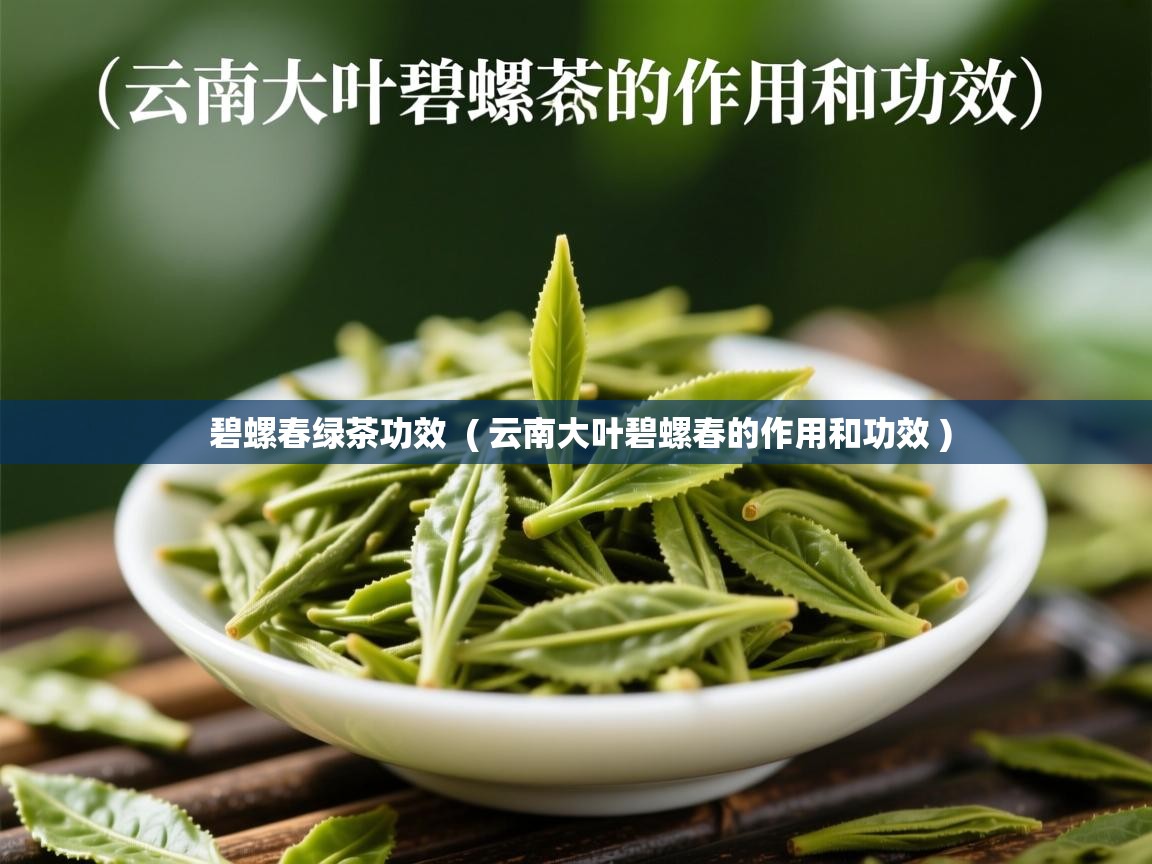 碧螺春绿茶功效  ( 云南大叶碧螺春的作用和功效 )  碧螺春绿茶功效  ( 云南大叶碧螺春的作用和功效 )
