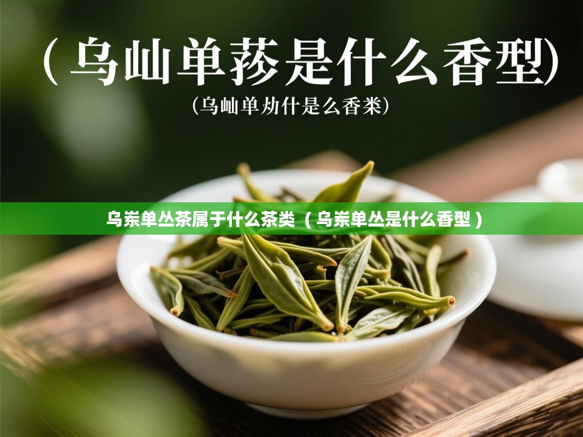 乌岽单丛茶属于什么茶类  ( 乌岽单丛是什么香型 )  乌岽单丛茶属于什么茶类  ( 乌岽单丛是什么香型 )