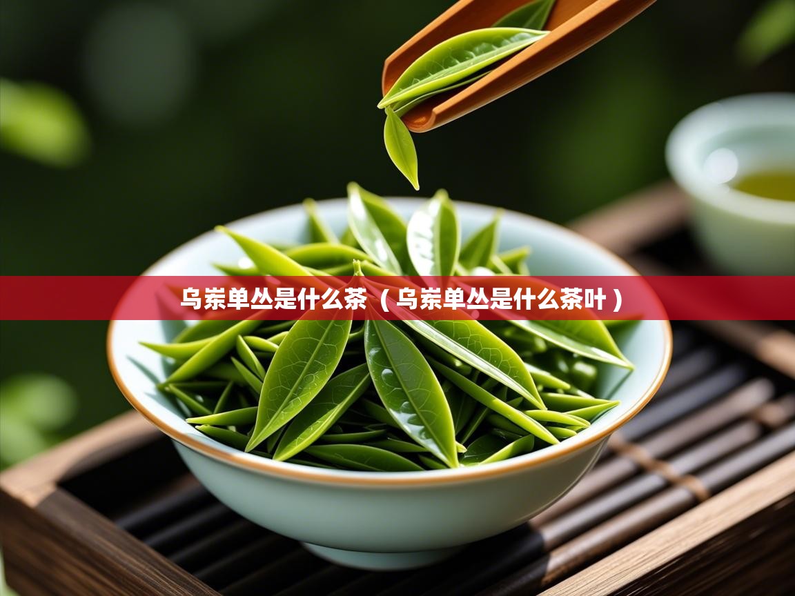 乌岽单丛是什么茶  ( 乌岽单丛是什么茶叶 )  乌岽单丛是什么茶  ( 乌岽单丛是什么茶叶 )