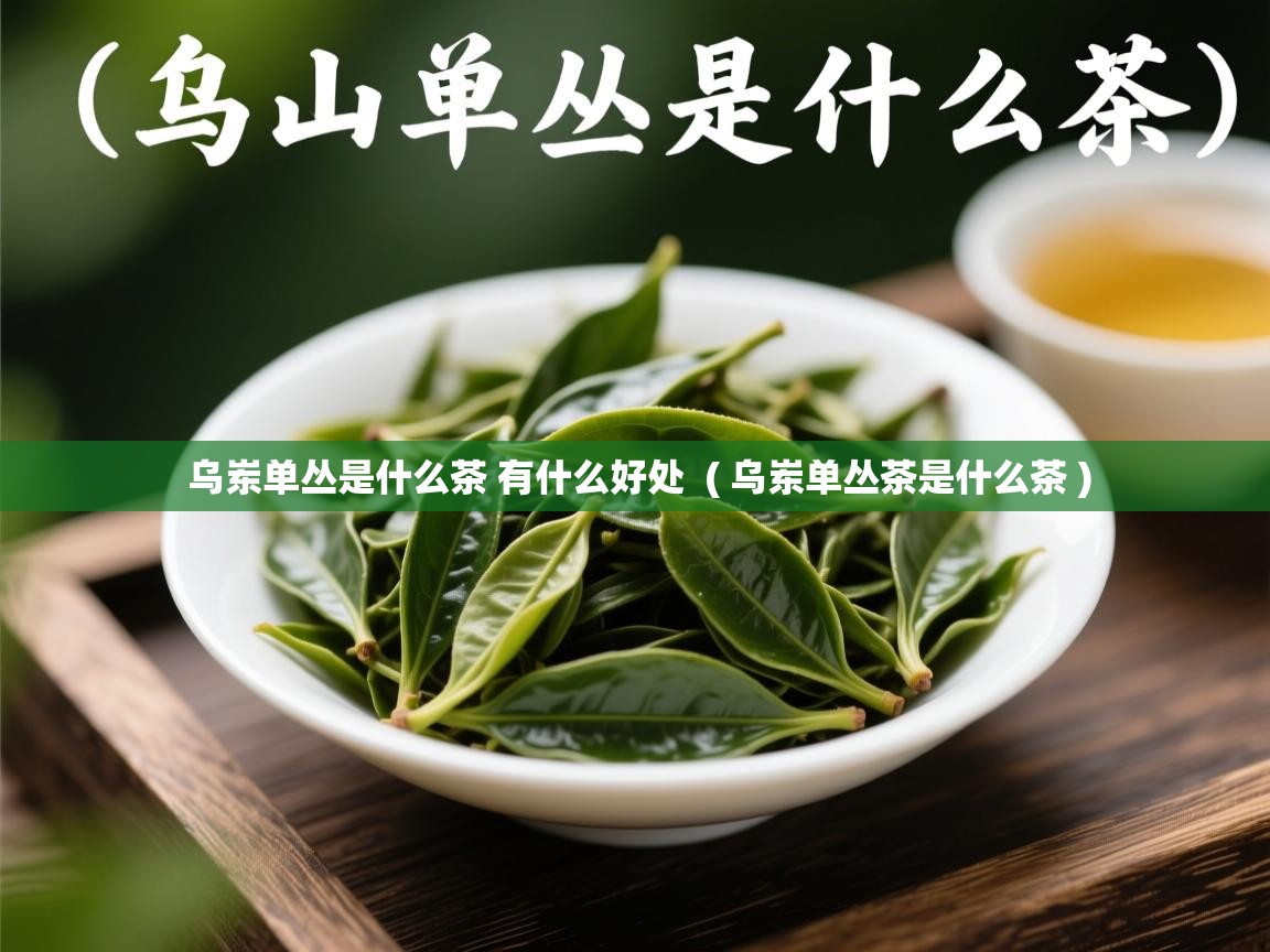 乌岽单丛是什么茶 有什么好处  ( 乌岽单丛茶是什么茶 )  乌岽单丛是什么茶 有什么好处  ( 乌岽单丛茶是什么茶 )