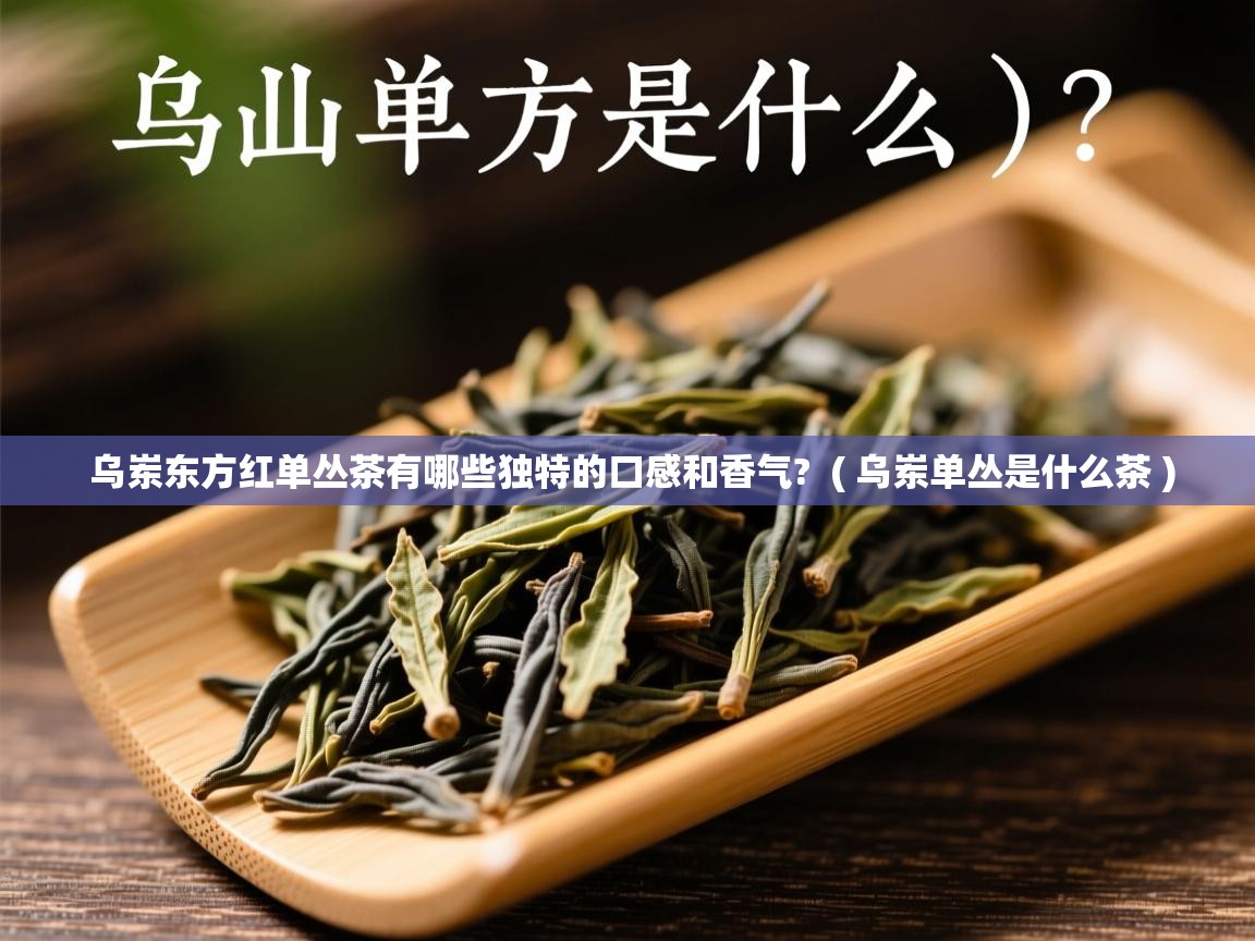 乌岽东方红单丛茶有哪些独特的口感和香气?  ( 乌岽单丛是什么茶 )  乌岽东方红单丛茶有哪些独特的口感和香气?  ( 乌岽单丛是什么茶 )