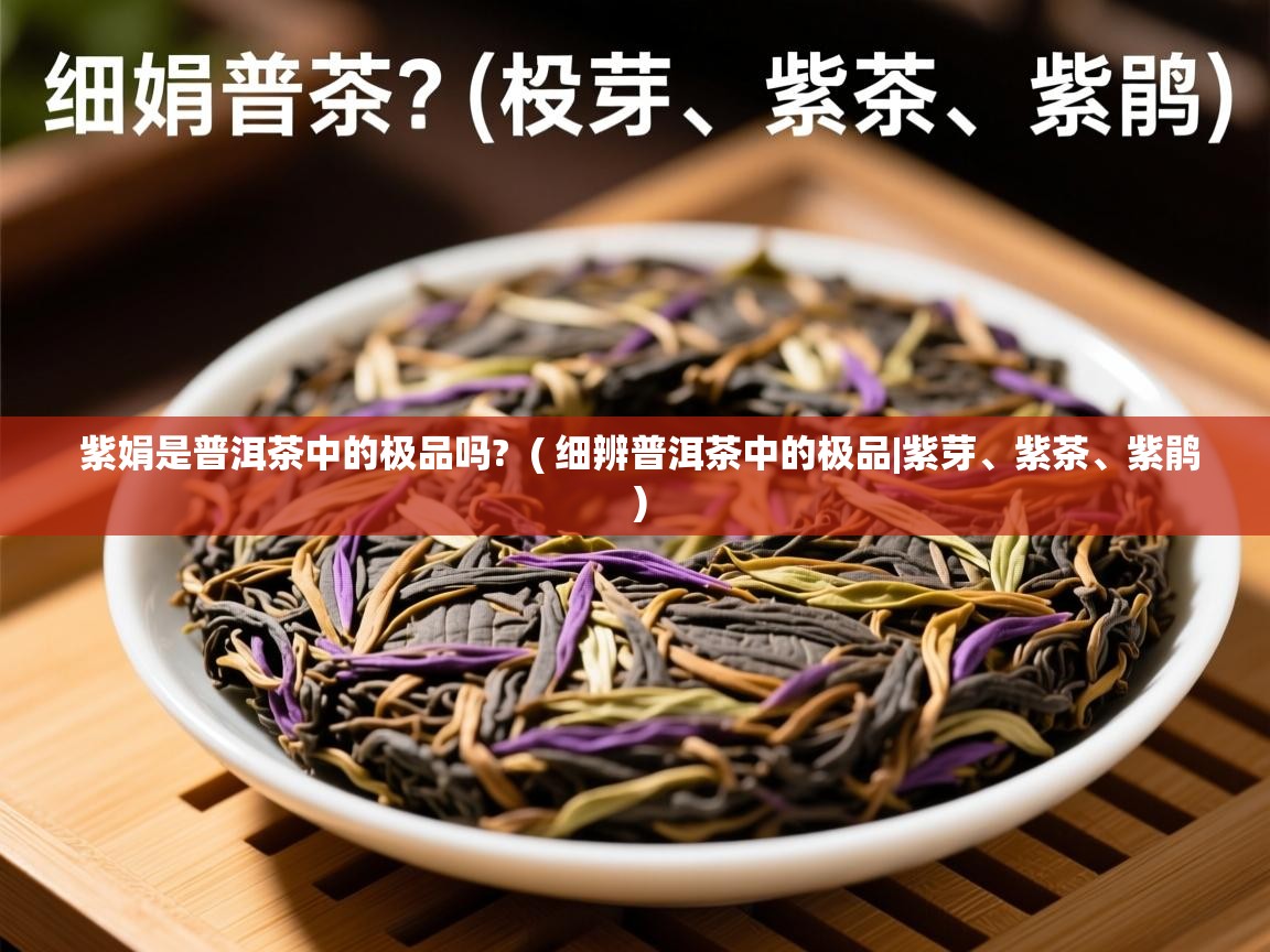 紫娟是普洱茶中的极品吗?  ( 细辨普洱茶中的极品|紫芽、紫茶、紫鹃 )  紫娟是普洱茶中的极品吗?  ( 细辨普洱茶中的极品|紫芽、紫茶、紫鹃 )