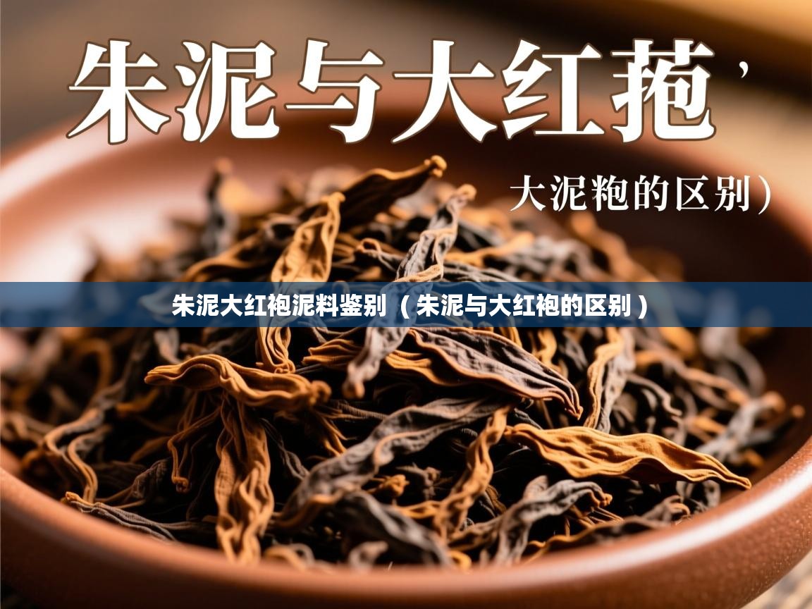 朱泥大红袍泥料鉴别  ( 朱泥与大红袍的区别 )  朱泥大红袍泥料鉴别  ( 朱泥与大红袍的区别 )