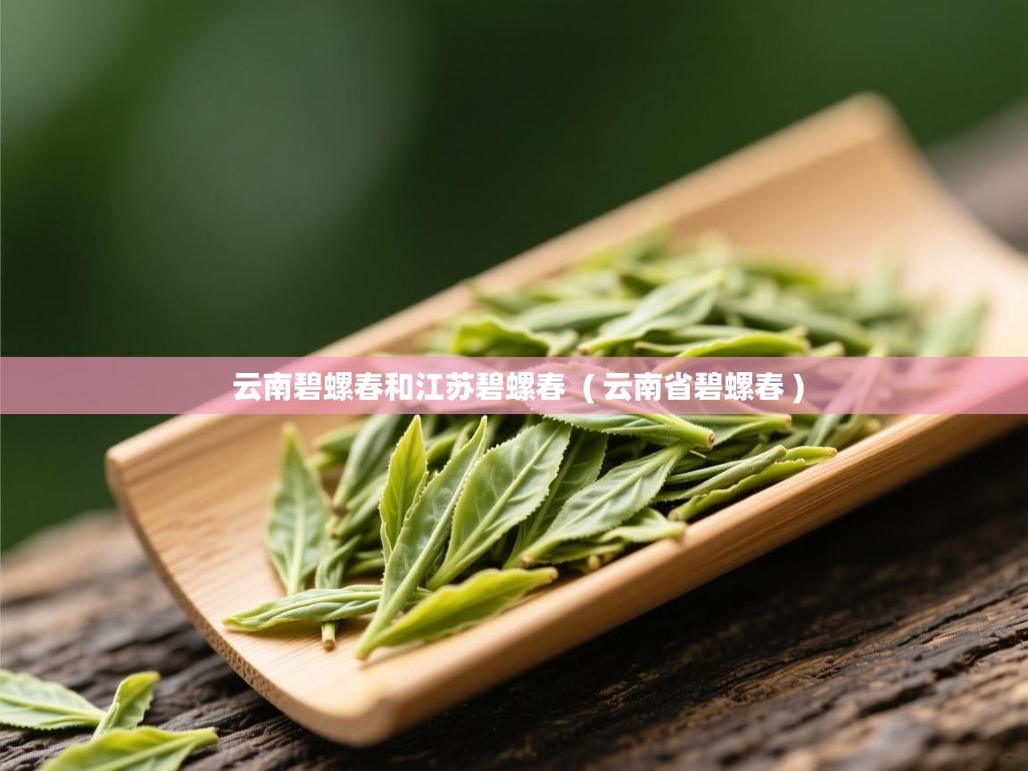 云南碧螺春和江苏碧螺春  ( 云南省碧螺春 )  云南碧螺春和江苏碧螺春  ( 云南省碧螺春 )