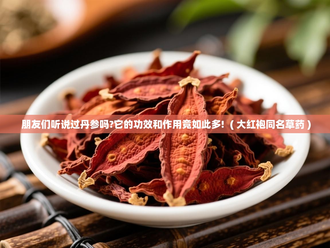 详细阅读: 朋友们听说过丹参吗?它的功效和作用竟如此多!  ( 大红袍同名草药 )  朋友们听说过丹参吗?它的功效和作用竟如此多!  ( 大红袍同名草药 )