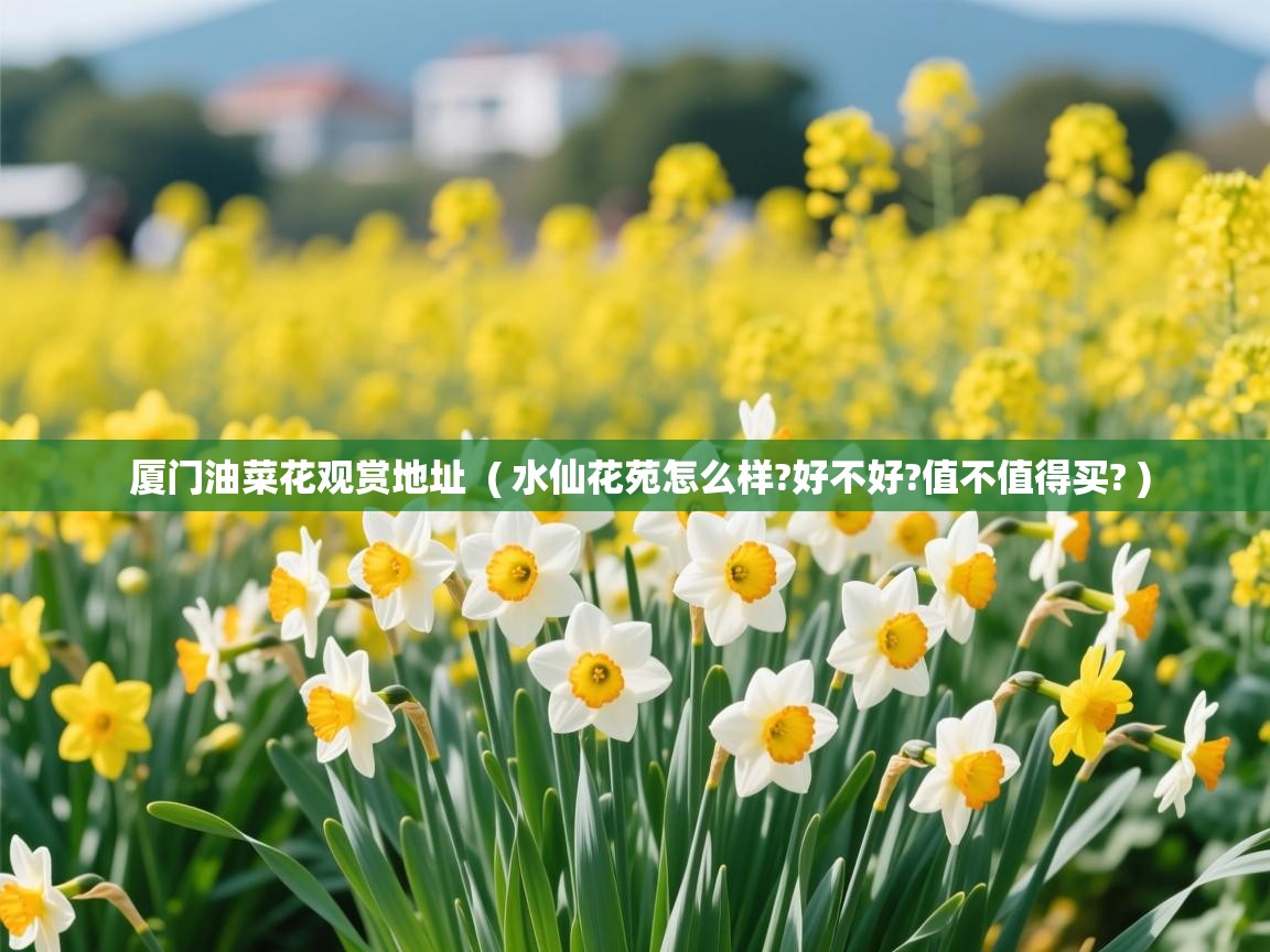 厦门油菜花观赏地址  ( 水仙花苑怎么样?好不好?值不值得买? )  厦门油菜花观赏地址  ( 水仙花苑怎么样?好不好?值不值得买? )