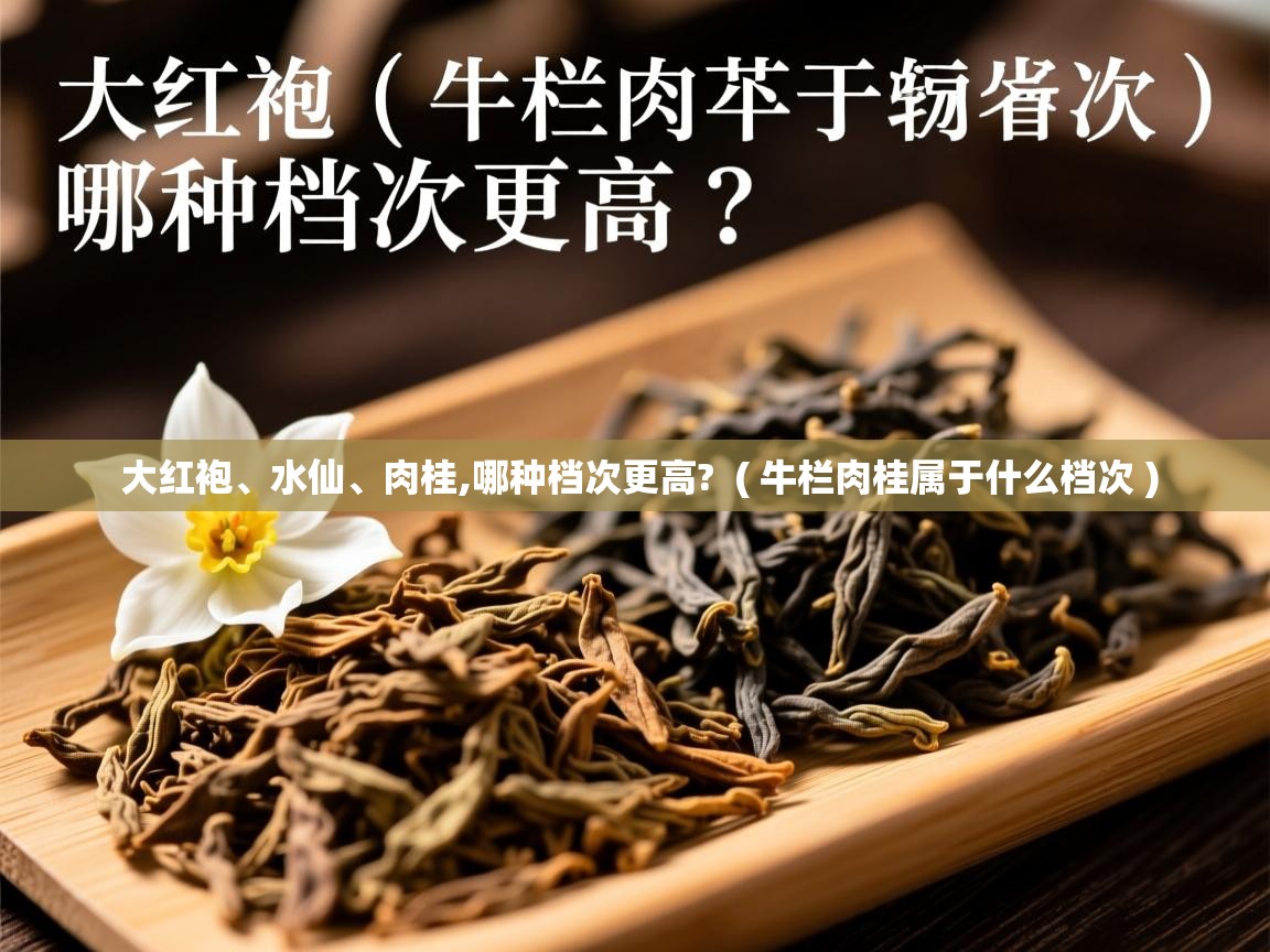  大红袍、水仙、肉桂,哪种档次更高?  ( 牛栏肉桂属于什么档次 )