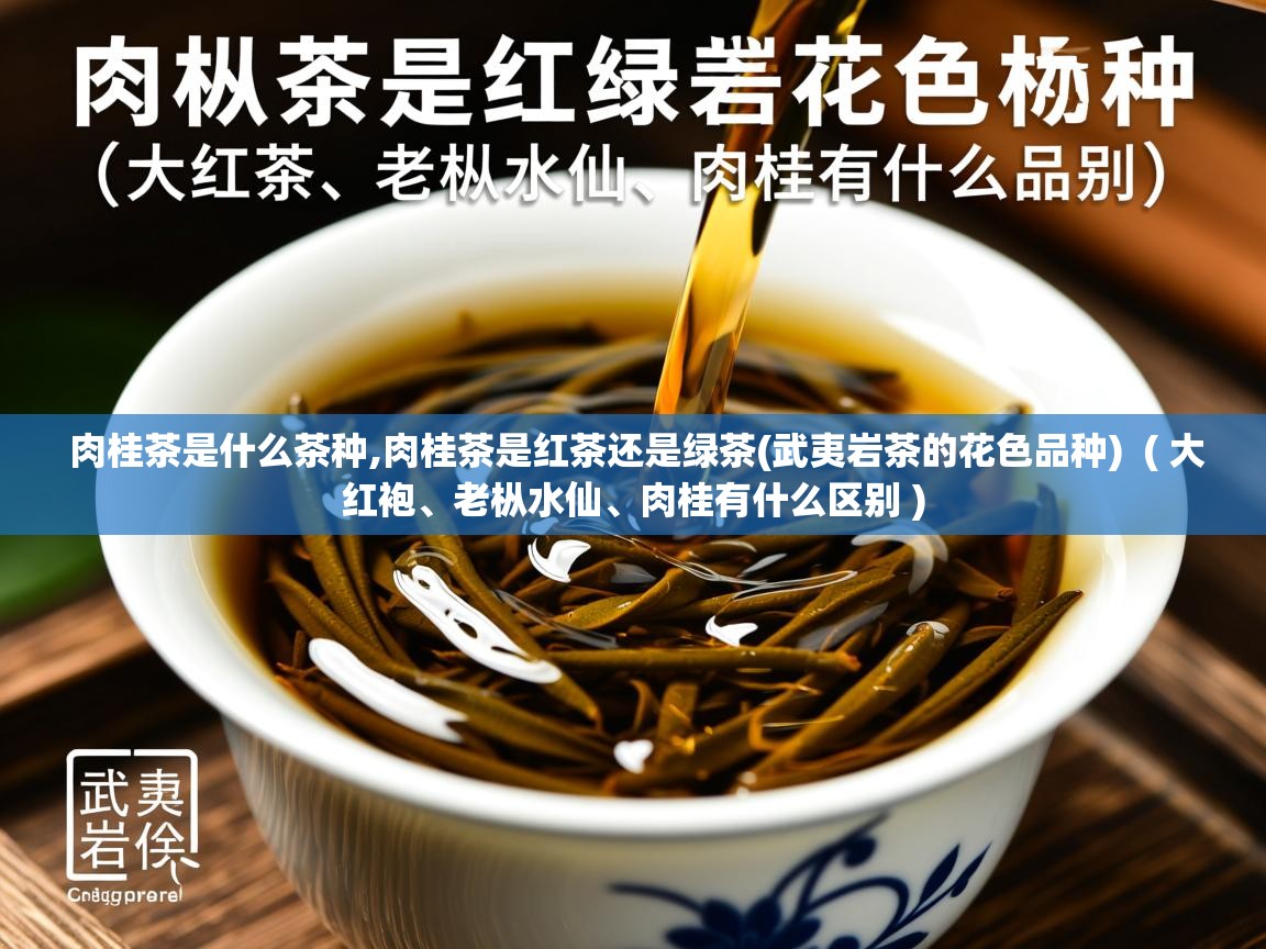 肉桂茶是什么茶种,肉桂茶是红茶还是绿茶(武夷岩茶的花色品种)  ( 大红袍、老枞水仙、肉桂有什么区别 )  肉桂茶是什么茶种,肉桂茶是红茶还是绿茶(武夷岩茶的花色品种)  ( 大红袍、老枞水仙、肉桂有什么区别 )