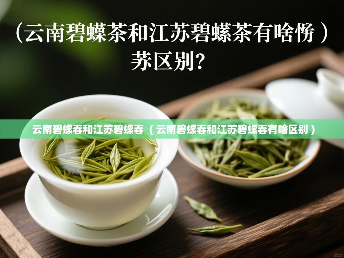 云南碧螺春和江苏碧螺春  ( 云南碧螺春和江苏碧螺春有啥区别 )  云南碧螺春和江苏碧螺春  ( 云南碧螺春和江苏碧螺春有啥区别 )