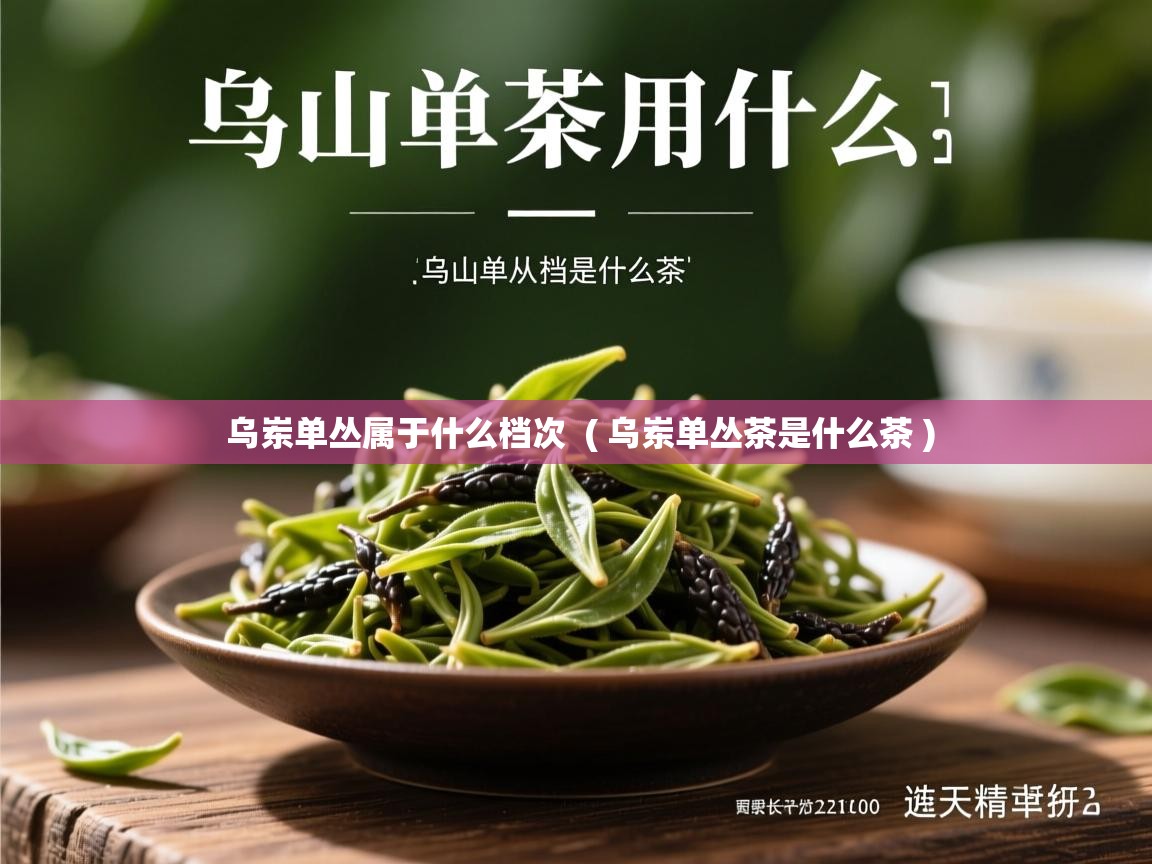 乌岽单丛属于什么档次  ( 乌岽单丛茶是什么茶 )  乌岽单丛属于什么档次  ( 乌岽单丛茶是什么茶 )