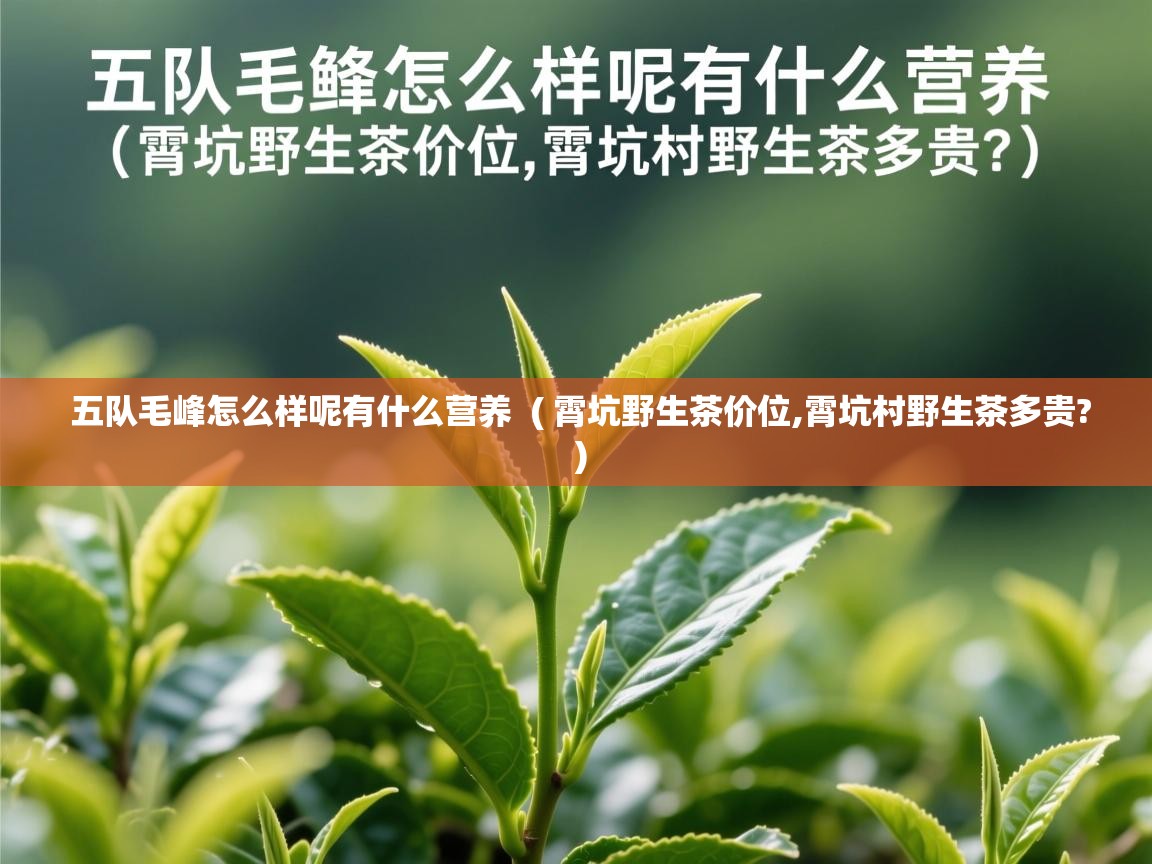 详细阅读: 五队毛峰怎么样呢有什么营养  ( 霄坑野生茶价位,霄坑村野生茶多贵? )  五队毛峰怎么样呢有什么营养  ( 霄坑野生茶价位,霄坑村野生茶多贵? )