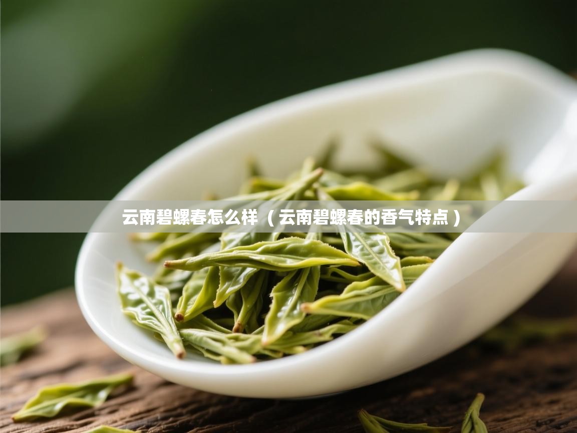 云南碧螺春怎么样  ( 云南碧螺春的香气特点 )  云南碧螺春怎么样  ( 云南碧螺春的香气特点 )