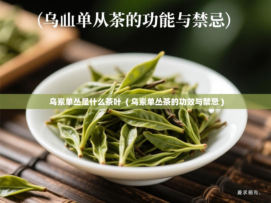 乌岽单丛是什么茶叶  ( 乌岽单丛茶的功效与禁忌 )  乌岽单丛是什么茶叶  ( 乌岽单丛茶的功效与禁忌 )