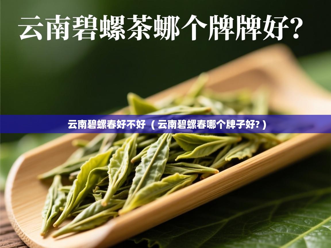 云南碧螺春好不好  ( 云南碧螺春哪个牌子好? )  云南碧螺春好不好  ( 云南碧螺春哪个牌子好? )