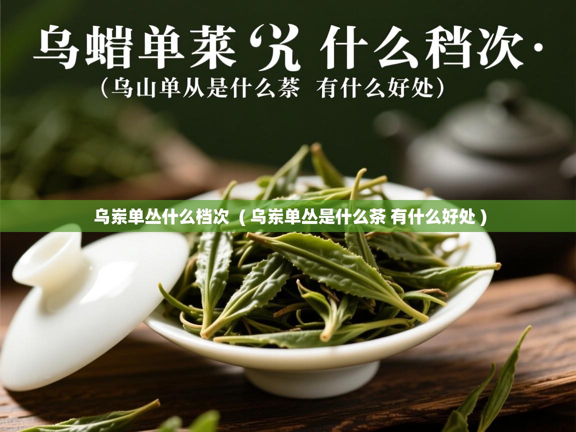 乌岽单丛什么档次  ( 乌岽单丛是什么茶 有什么好处 )  乌岽单丛什么档次  ( 乌岽单丛是什么茶 有什么好处 )