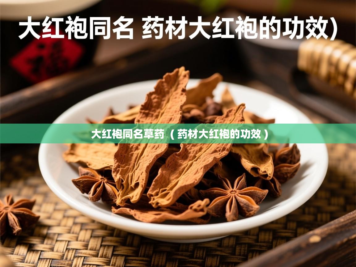  大红袍同名草药  ( 药材大红袍的功效 )
