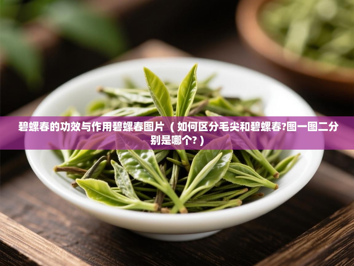 碧螺春的功效与作用碧螺春图片  ( 如何区分毛尖和碧螺春?图一图二分别是哪个? )  碧螺春的功效与作用碧螺春图片  ( 如何区分毛尖和碧螺春?图一图二分别是哪个? )