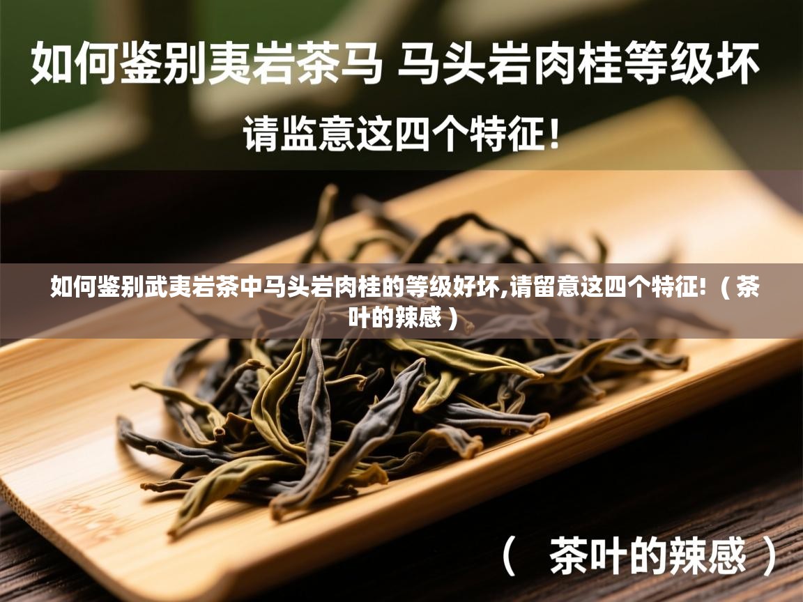 如何鉴别武夷岩茶中马头岩肉桂的等级好坏,请留意这四个特征!  ( 茶叶的辣感 )  如何鉴别武夷岩茶中马头岩肉桂的等级好坏,请留意这四个特征!  ( 茶叶的辣感 )