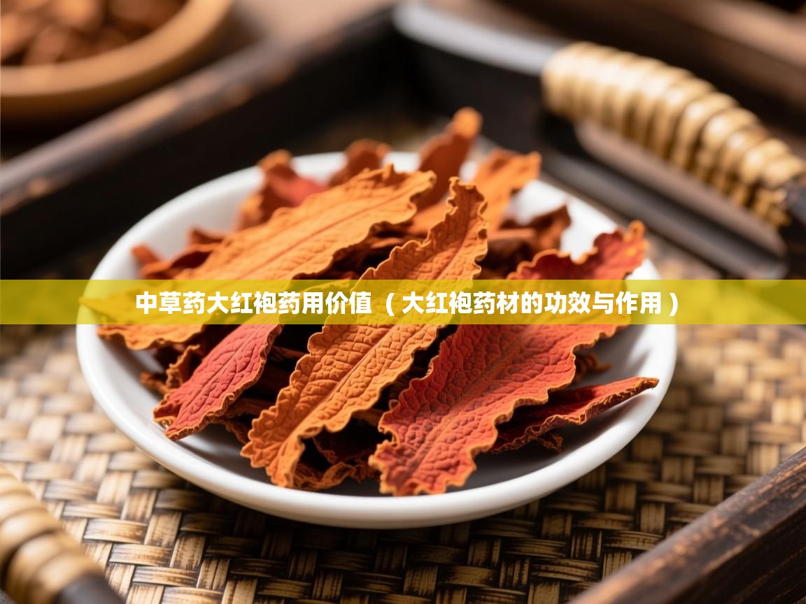 中草药大红袍药用价值  ( 大红袍药材的功效与作用 )  中草药大红袍药用价值  ( 大红袍药材的功效与作用 )