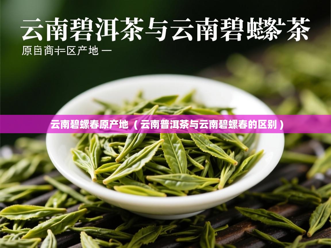 云南碧螺春原产地  ( 云南普洱茶与云南碧螺春的区别 )  云南碧螺春原产地  ( 云南普洱茶与云南碧螺春的区别 )