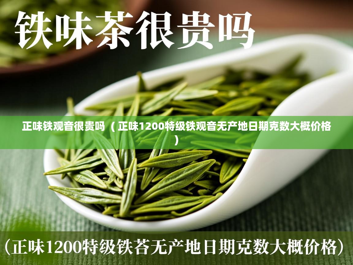  正味铁观音很贵吗  ( 正味1200特级铁观音无产地日期克数大概价格 )