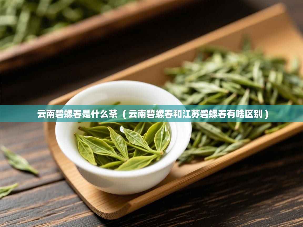  云南碧螺春是什么茶  ( 云南碧螺春和江苏碧螺春有啥区别 )