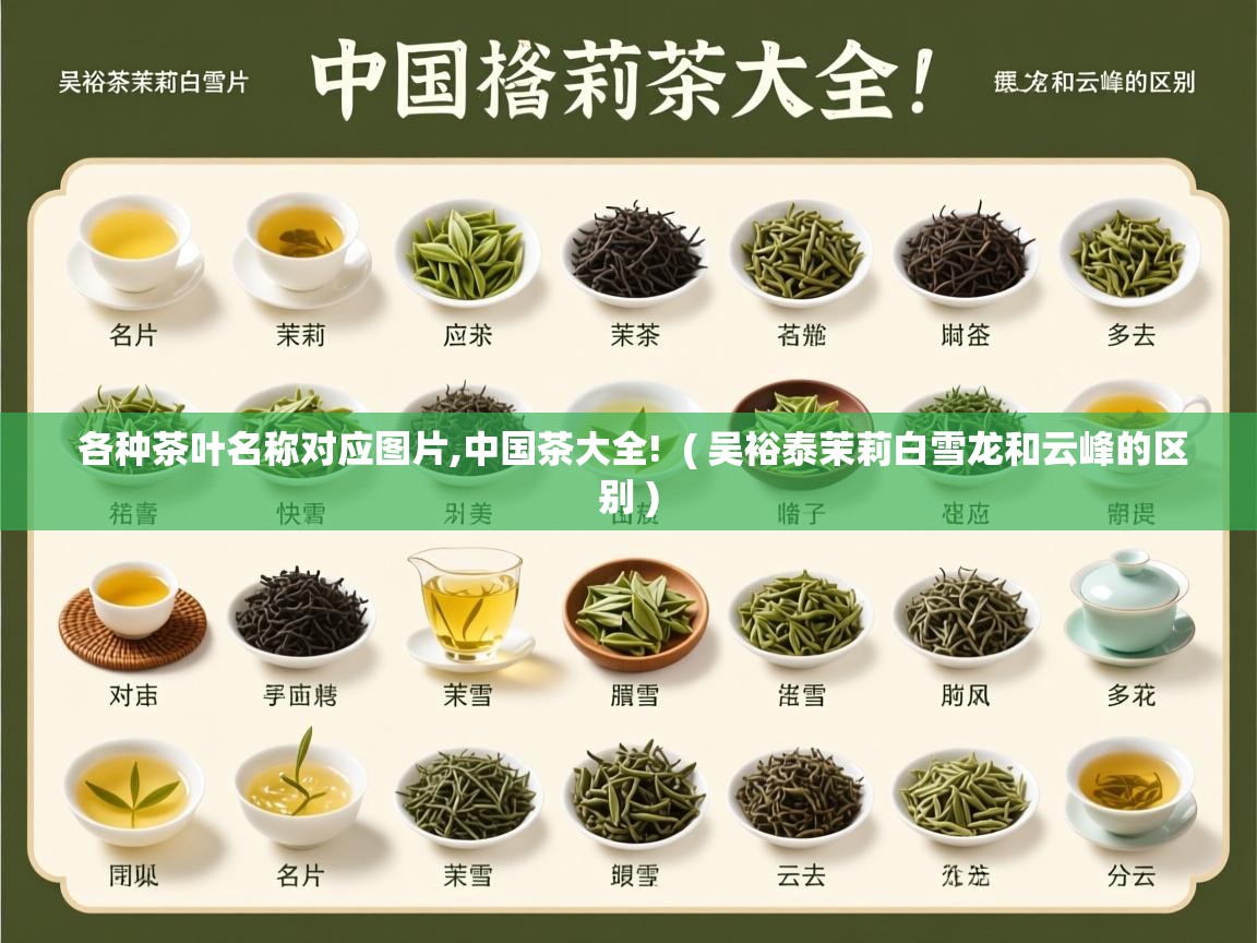  各种茶叶名称对应图片,中国茶大全!  ( 吴裕泰茉莉白雪龙和云峰的区别 )