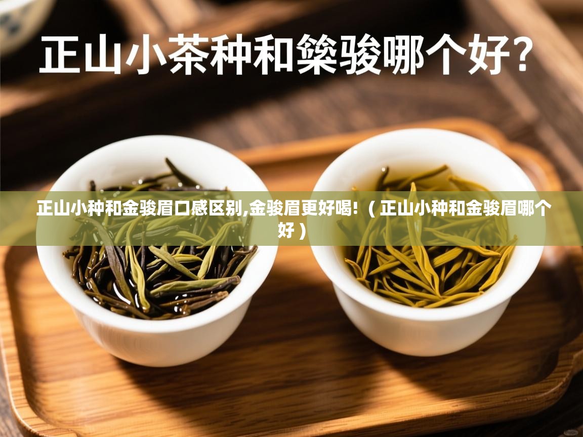 正山小种和金骏眉口感区别,金骏眉更好喝!  ( 正山小种和金骏眉哪个好 )  正山小种和金骏眉口感区别,金骏眉更好喝!  ( 正山小种和金骏眉哪个好 )