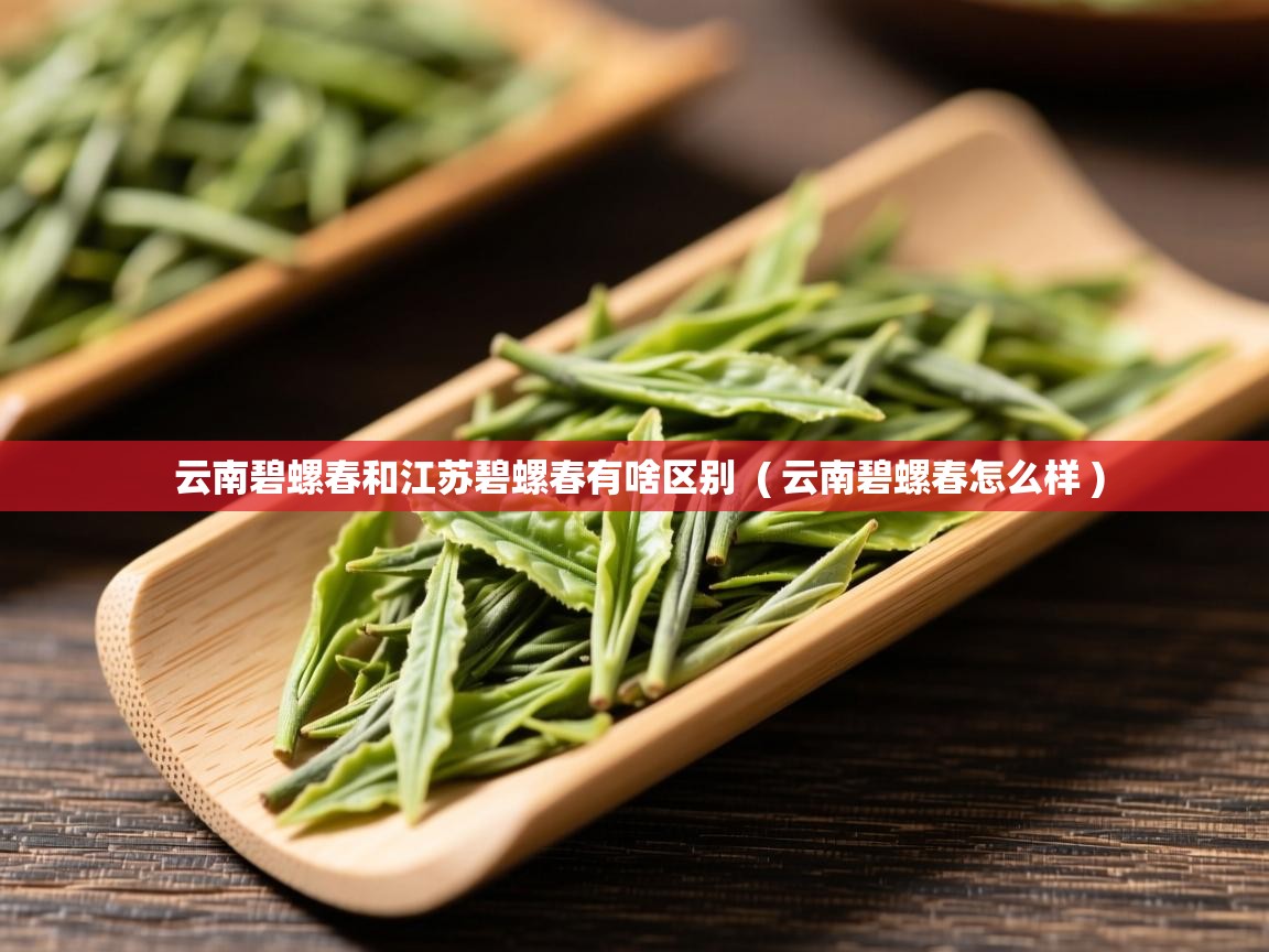 云南碧螺春和江苏碧螺春有啥区别  ( 云南碧螺春怎么样 )  云南碧螺春和江苏碧螺春有啥区别  ( 云南碧螺春怎么样 )